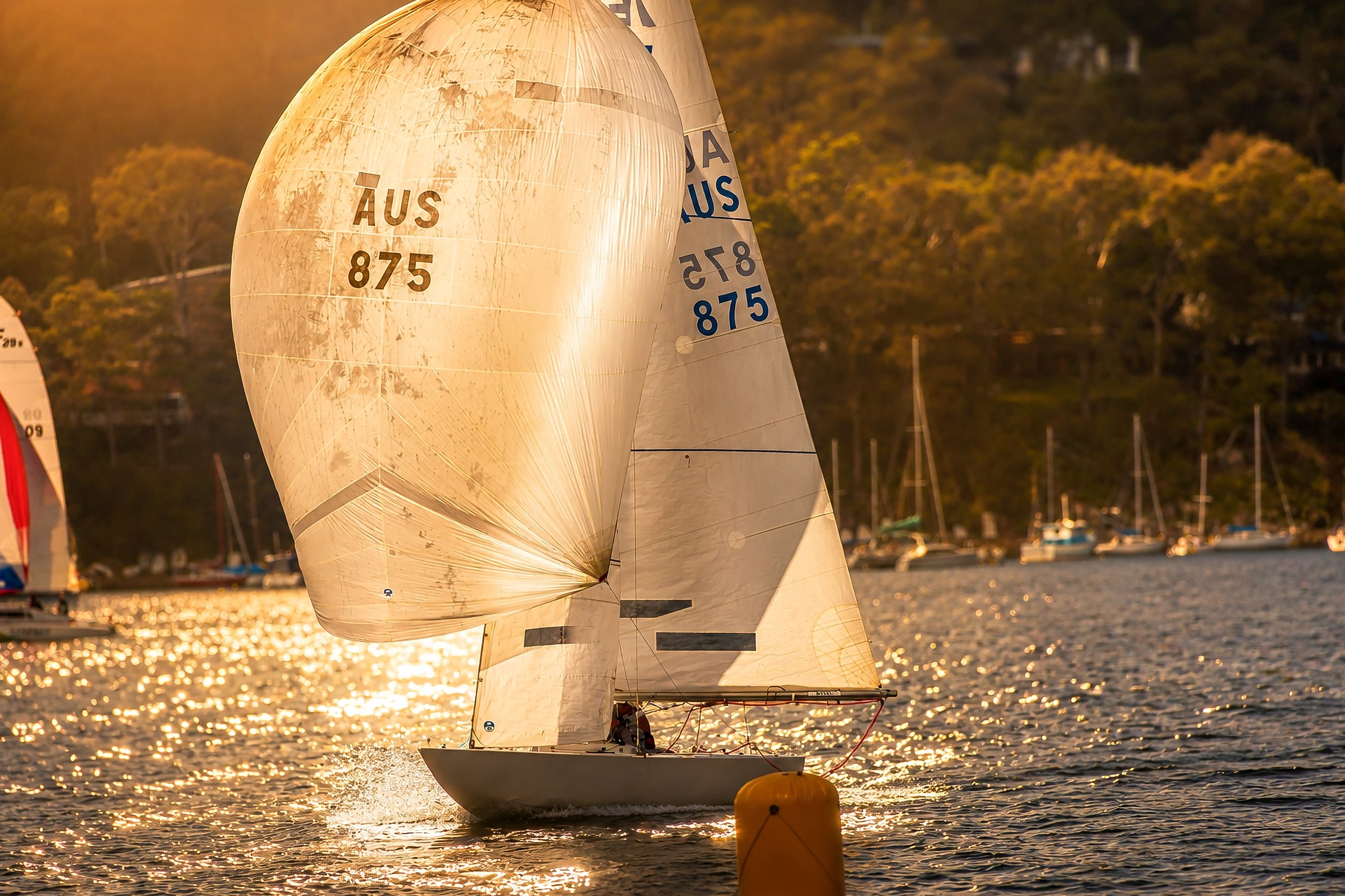 A sailboat with a spinnaker sail on the water during sunset, with trees and boats in the background.