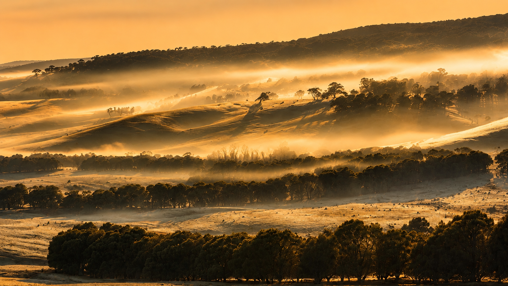 Golden morning mist drifts across frost-covered rolling hills in the Australian countryside. A fine art landscape photograph capturing the quiet beauty of winter sunrise, museum-quality wall art by David Lindsay.