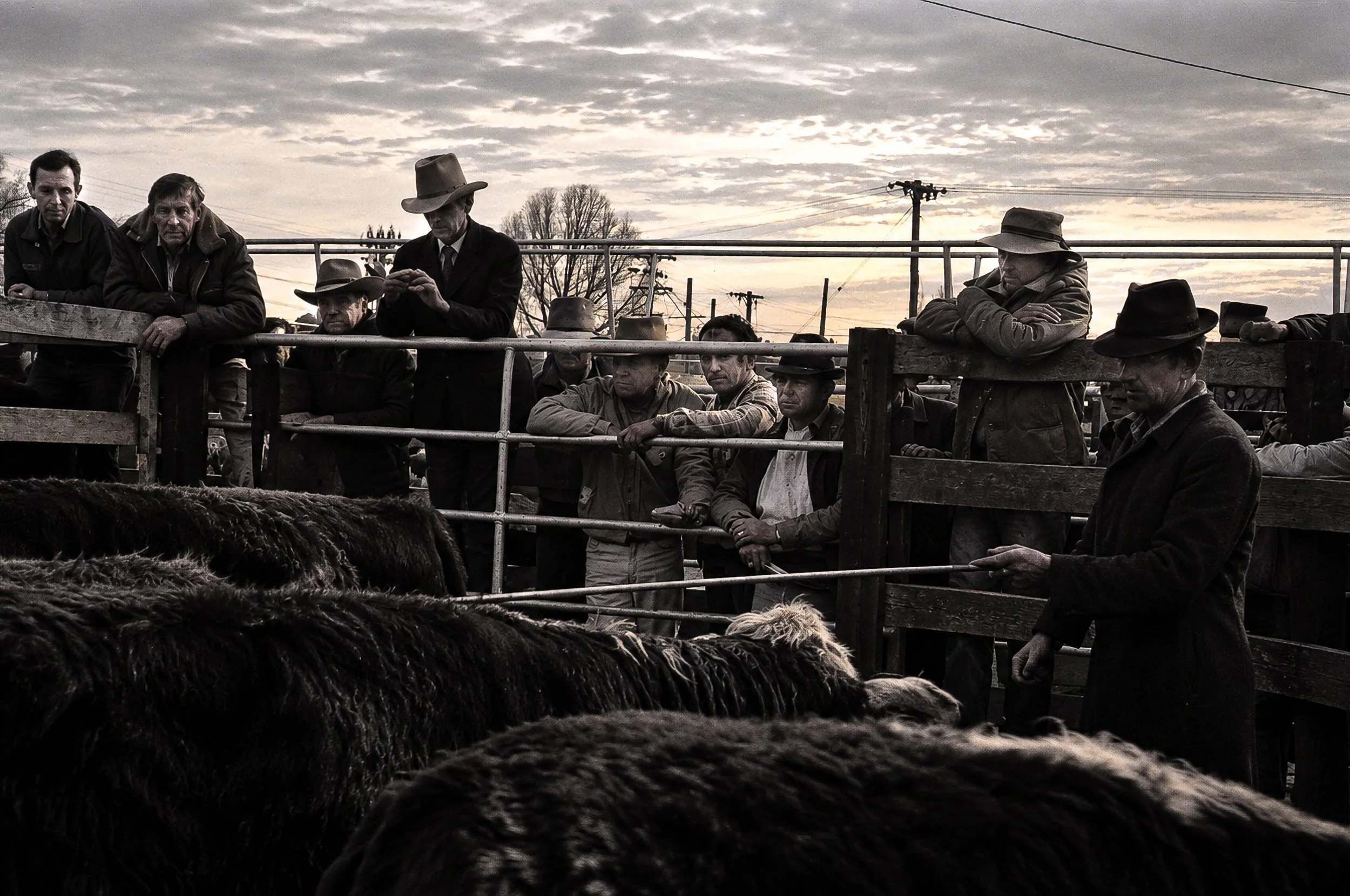 The Cattlemen and Their Stock - A group of cattlemen gathers around the yards as cattle move through the pens. Their distinctive hats and working clothes, combined with the weathered timber yards, create a strong portrait of Australian rural life in 