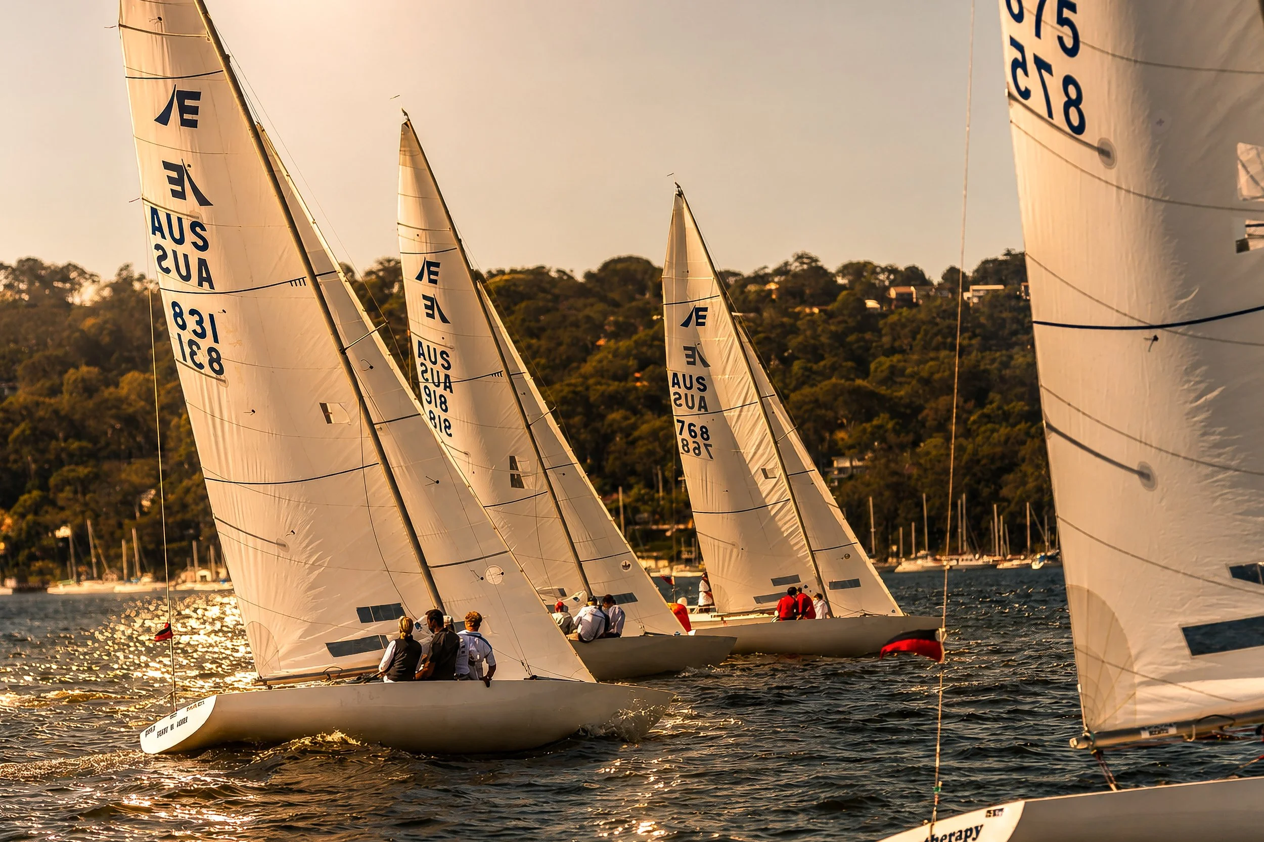 Multiple sailboats racing on the water during sunset with hills and trees in the background.