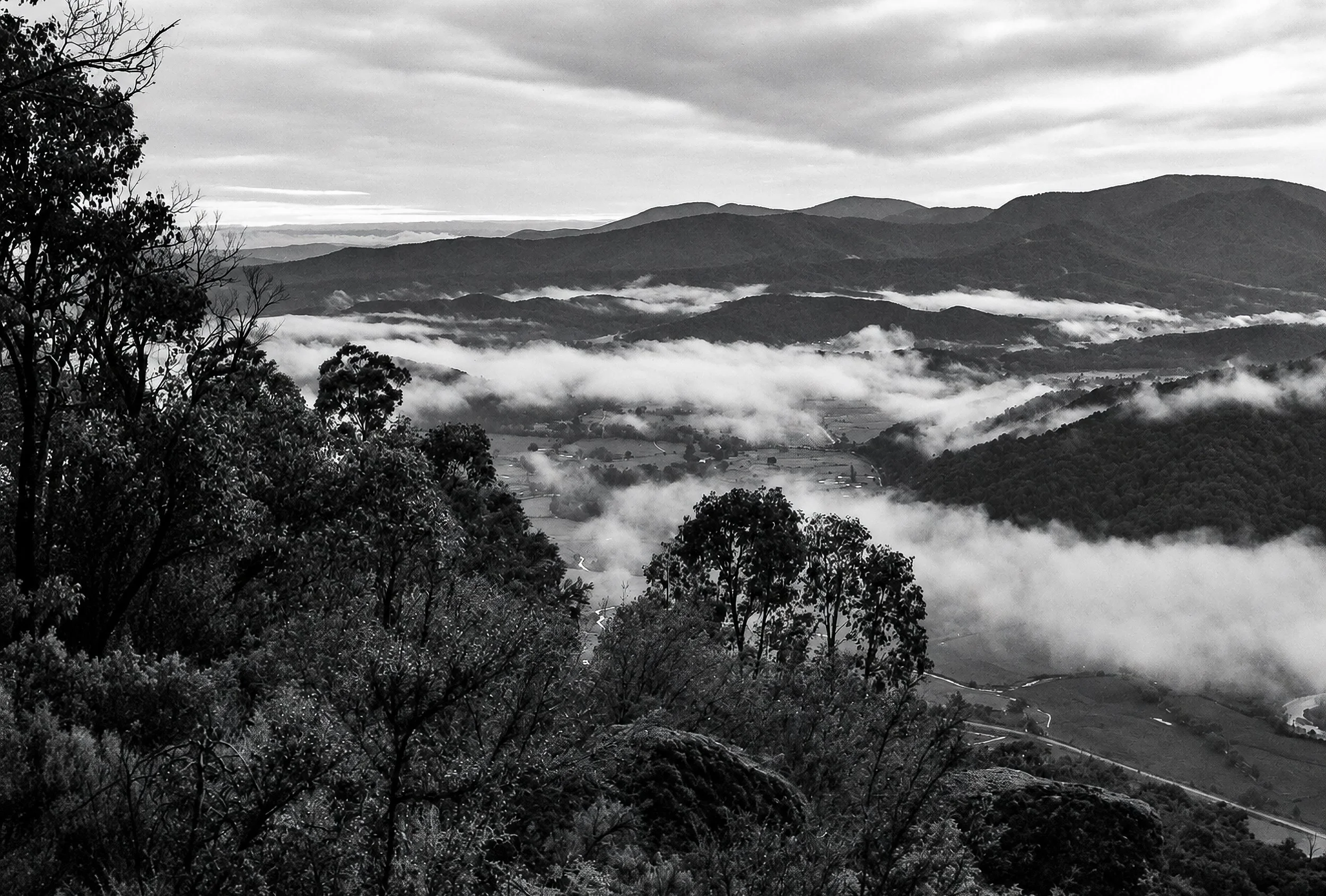 Mountains in the Mist - From high above the valley, successive mountain ridges disappear into layers of drifting mist. The dark foreground vegetation contrasts with the luminous cloud below, creating an extraordinary sense of depth and distance.
