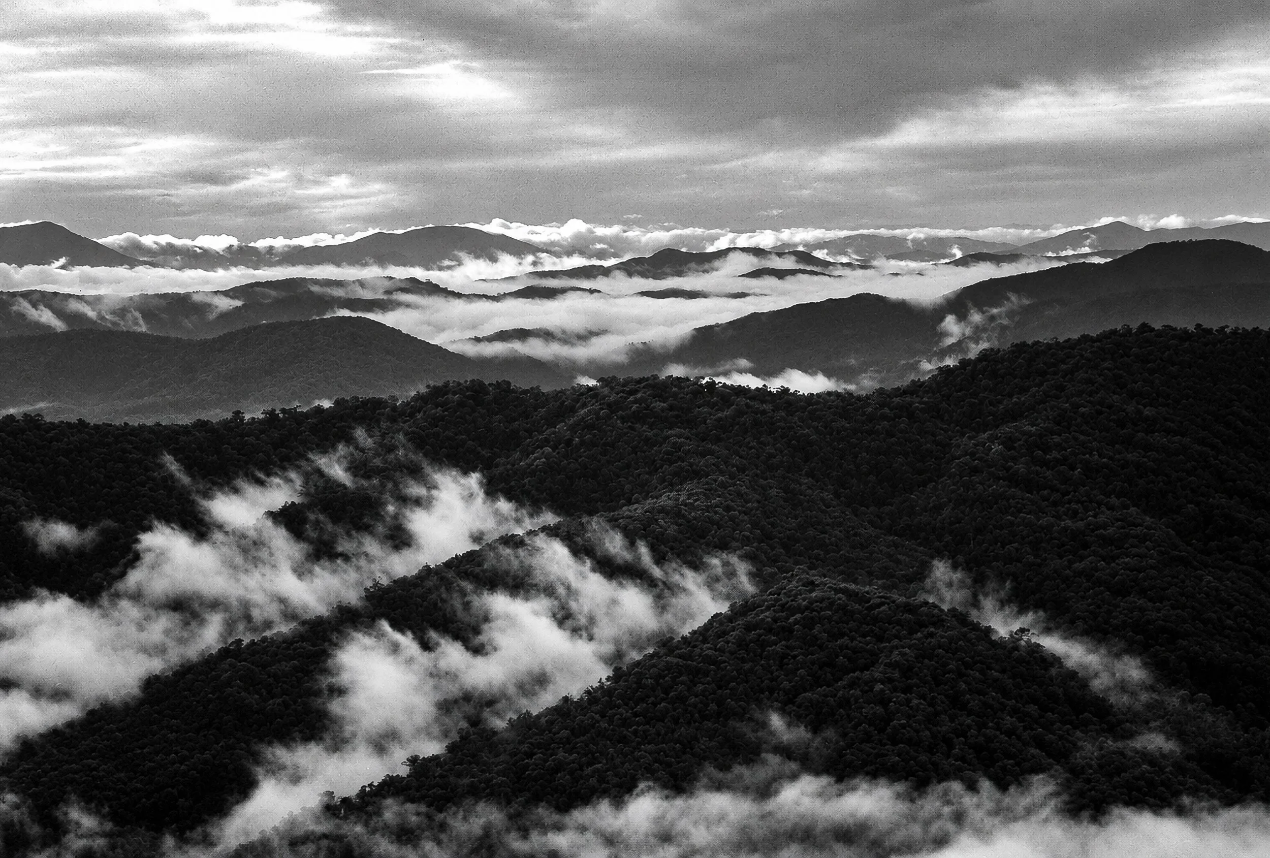 Mountain Layers - Ridge after ridge recedes into the distance, separated by ribbons of cloud and mist. The photograph captures the immense scale of the Victorian mountain country, where the landscape seems to continue far beyond the visible horizon.