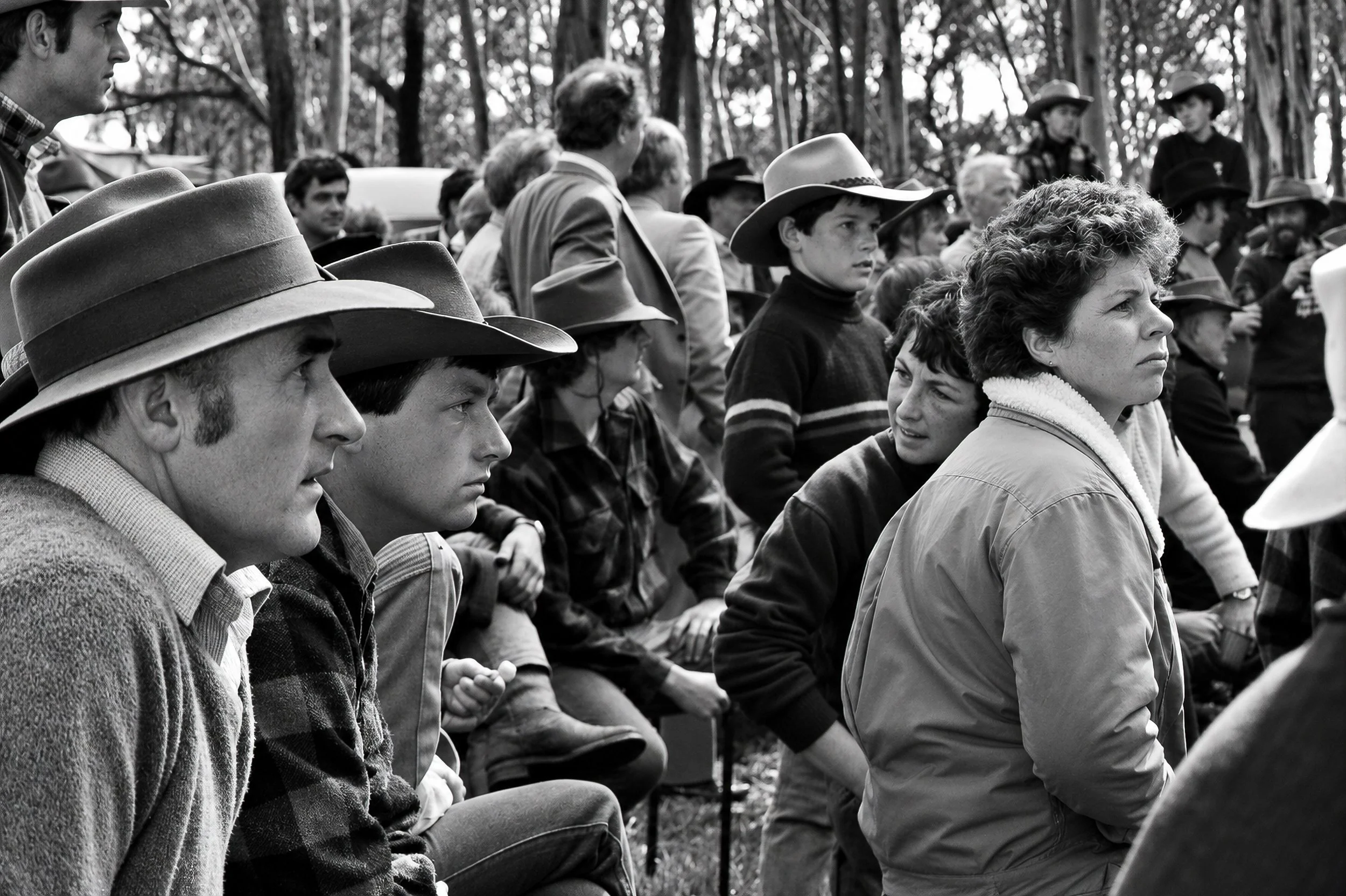 The Gathering - A dense crowd of High Country cattlemen and supporters gathers beneath the eucalyptus trees at Flinders Park. Wide-brimmed hats, work clothing and attentive faces capture the atmosphere before the procession into Melbourne.