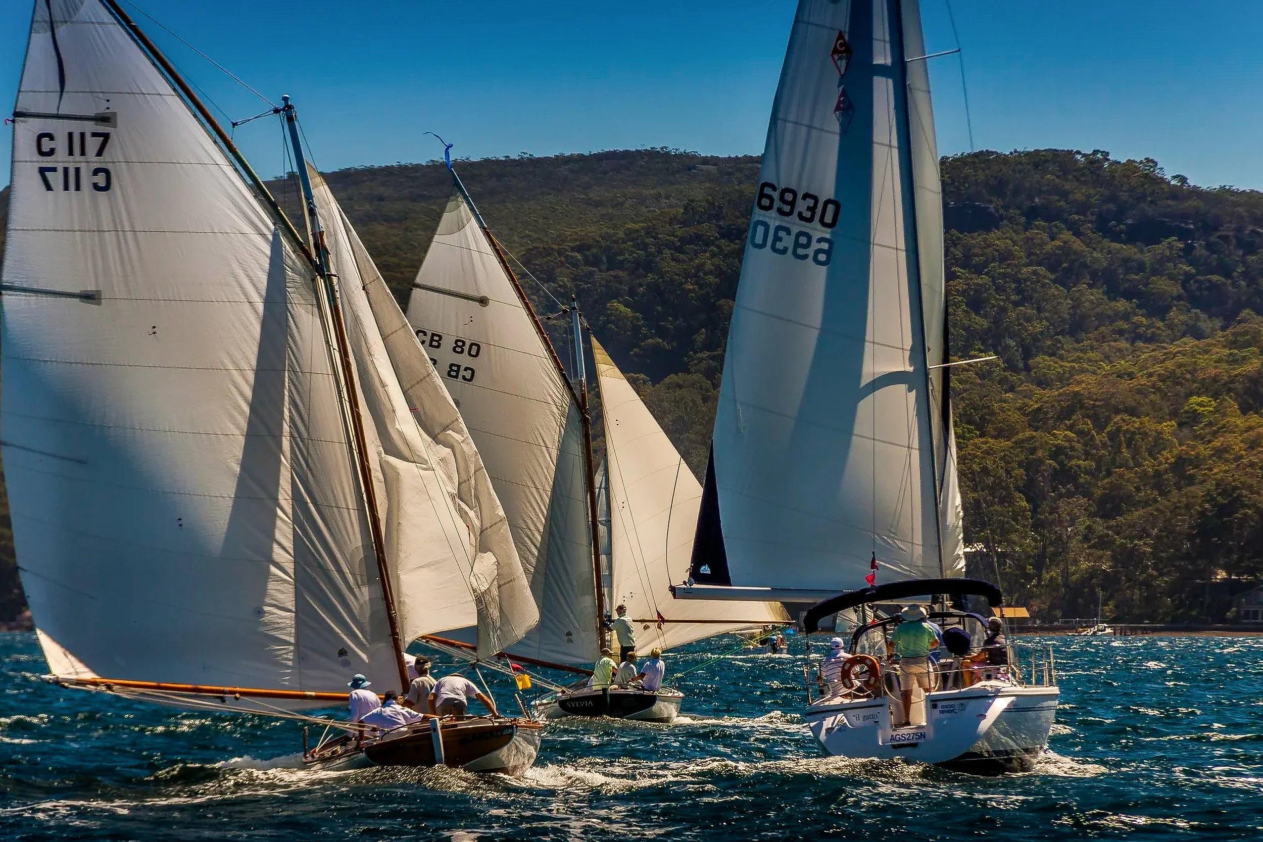 Sailboats racing on the water with a forested hillside in the background under a clear blue sky.