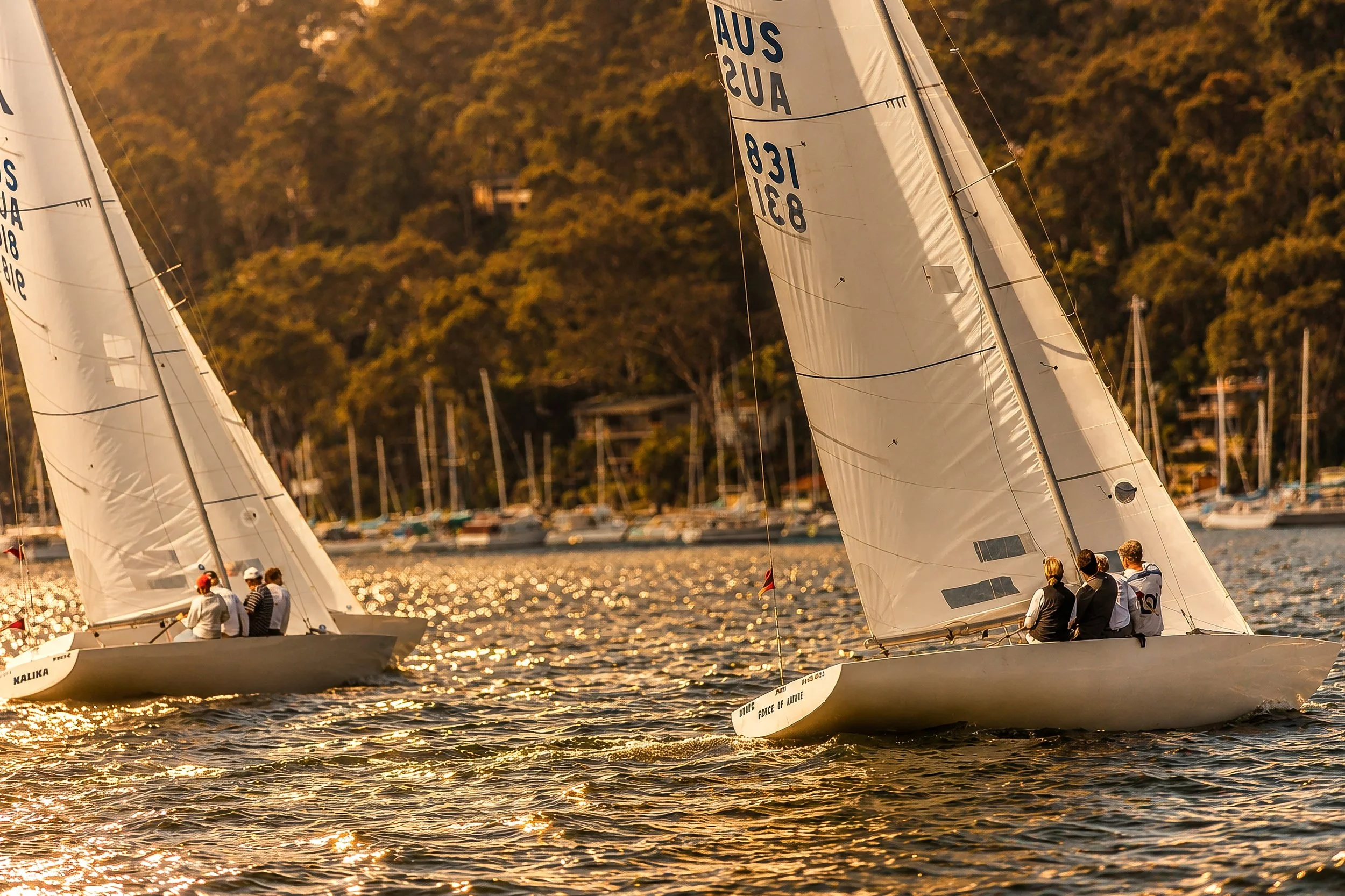 Two sailboats racing on the water during sunset with a wooded shoreline and houses in the background.