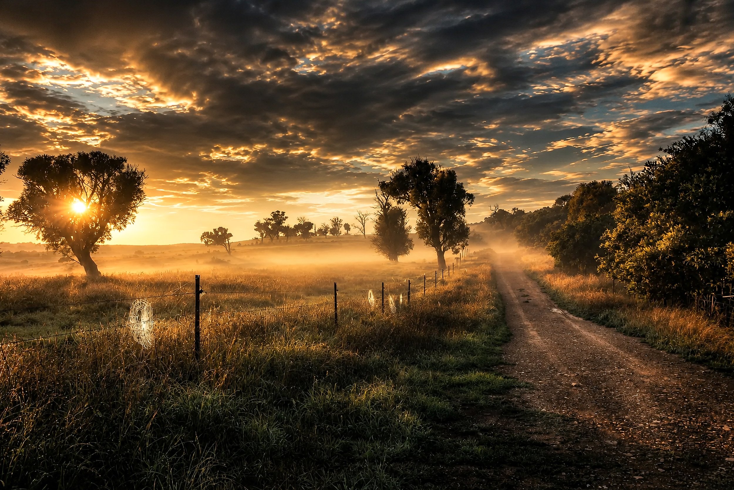 Golden sunrise light streams across a misty country road lined with rural fencing and trees.
