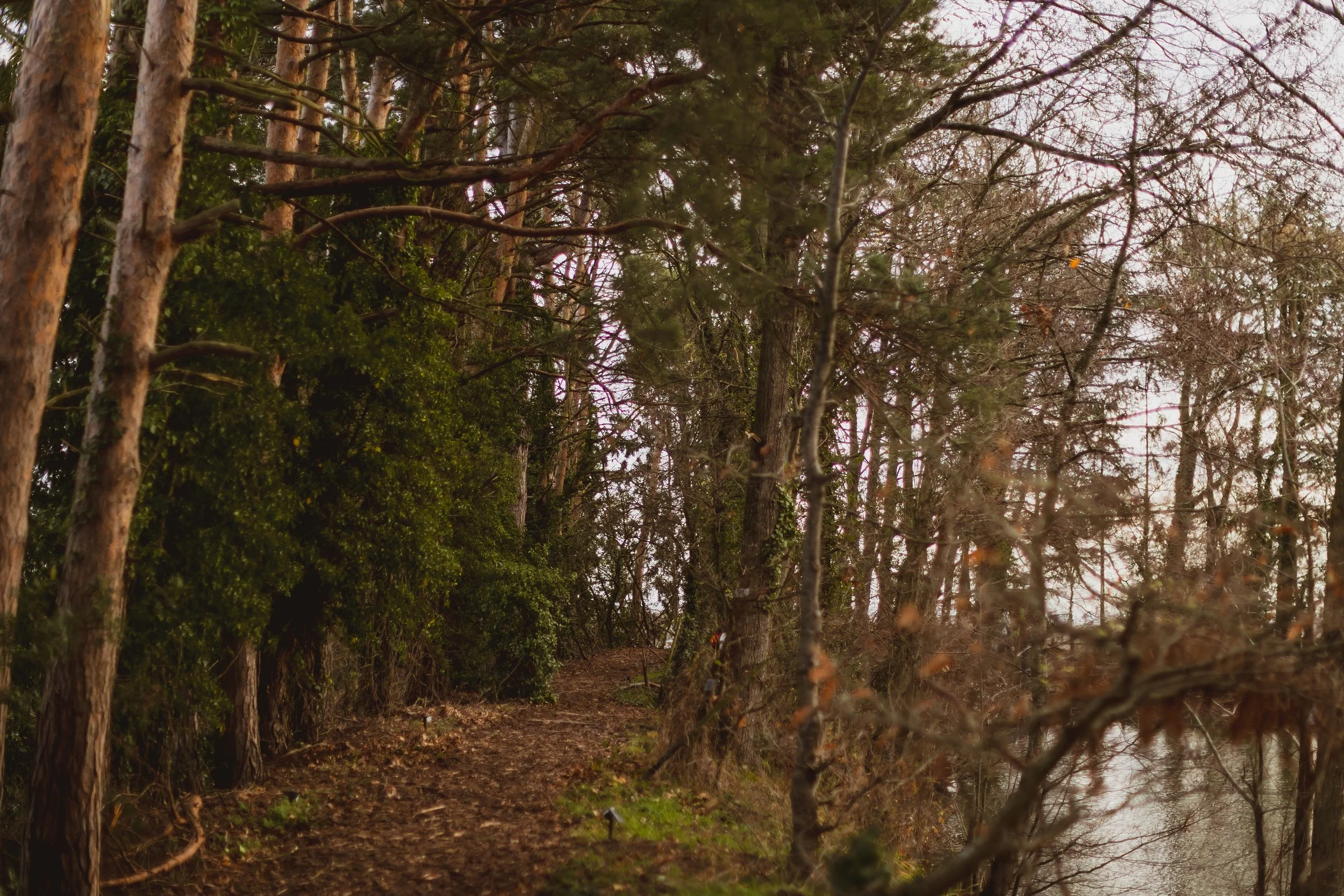 Tranquil Transformations -8.jpg