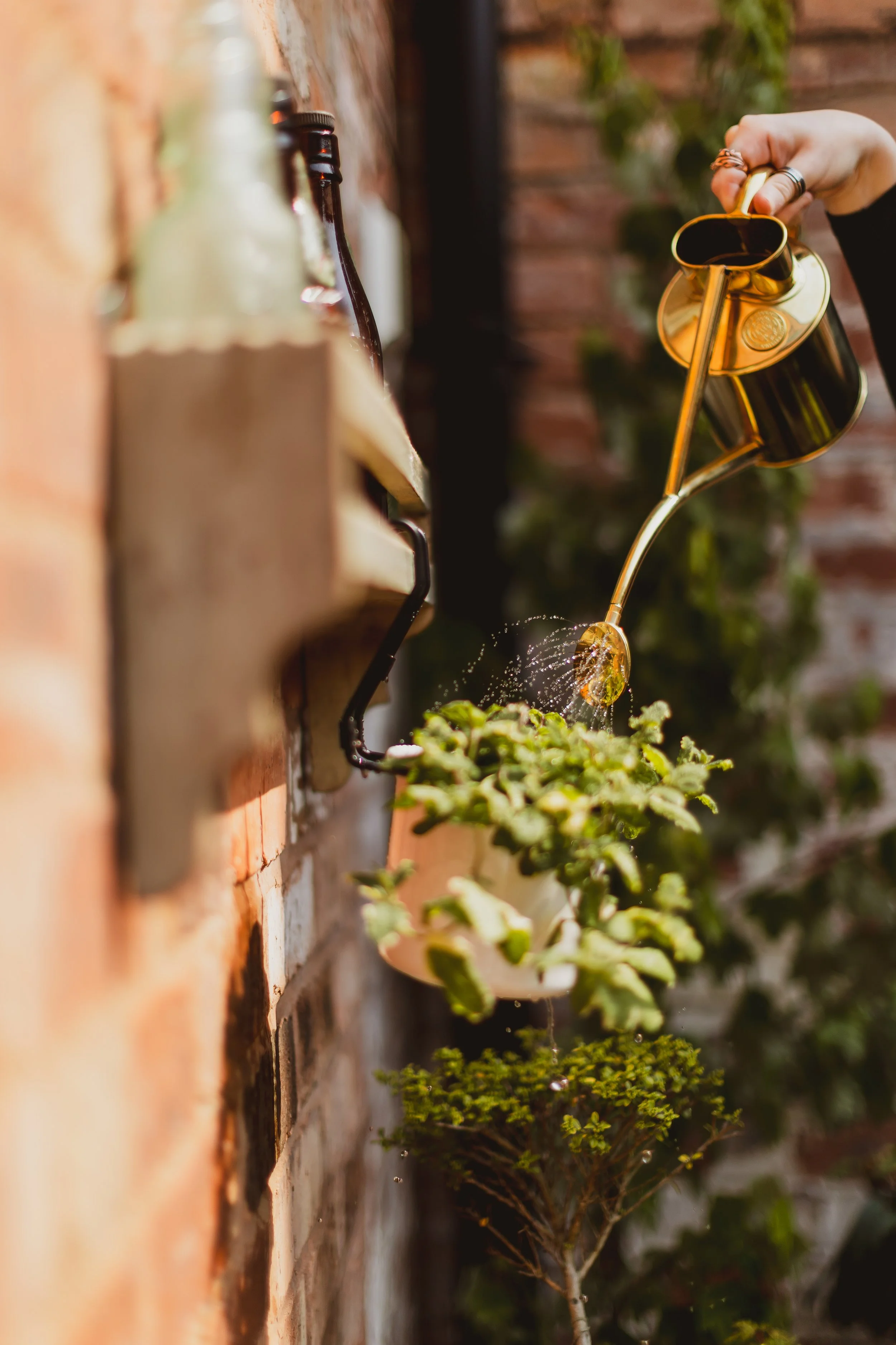 Brand Content Kubix 0038.jpg