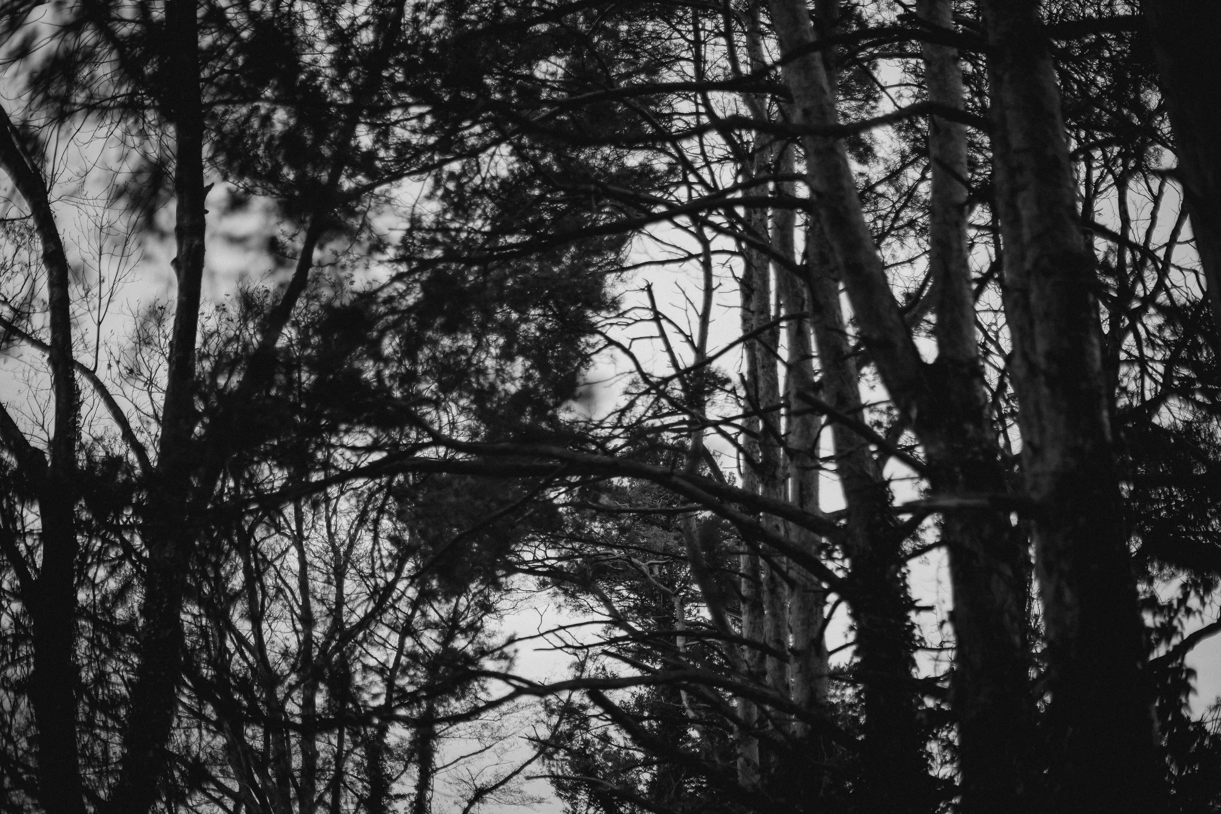 Tranquil Transformations -10.jpg