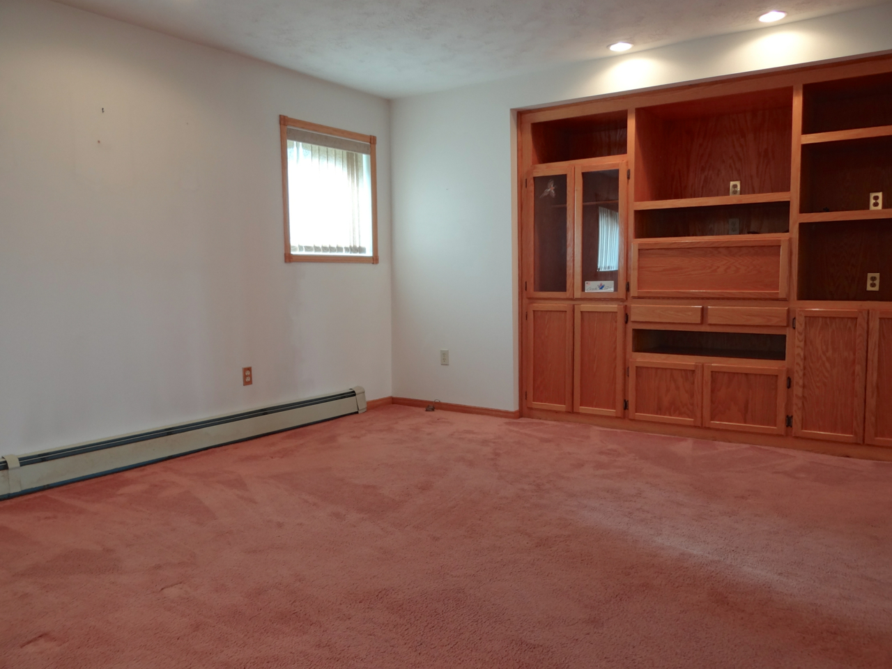 Large Family Room (Lower Level)