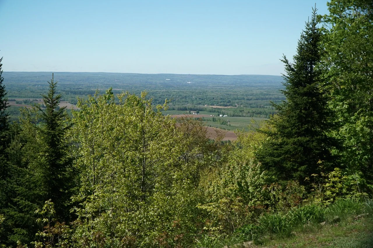 1460 Berow Mtn Rd-2006.jpg