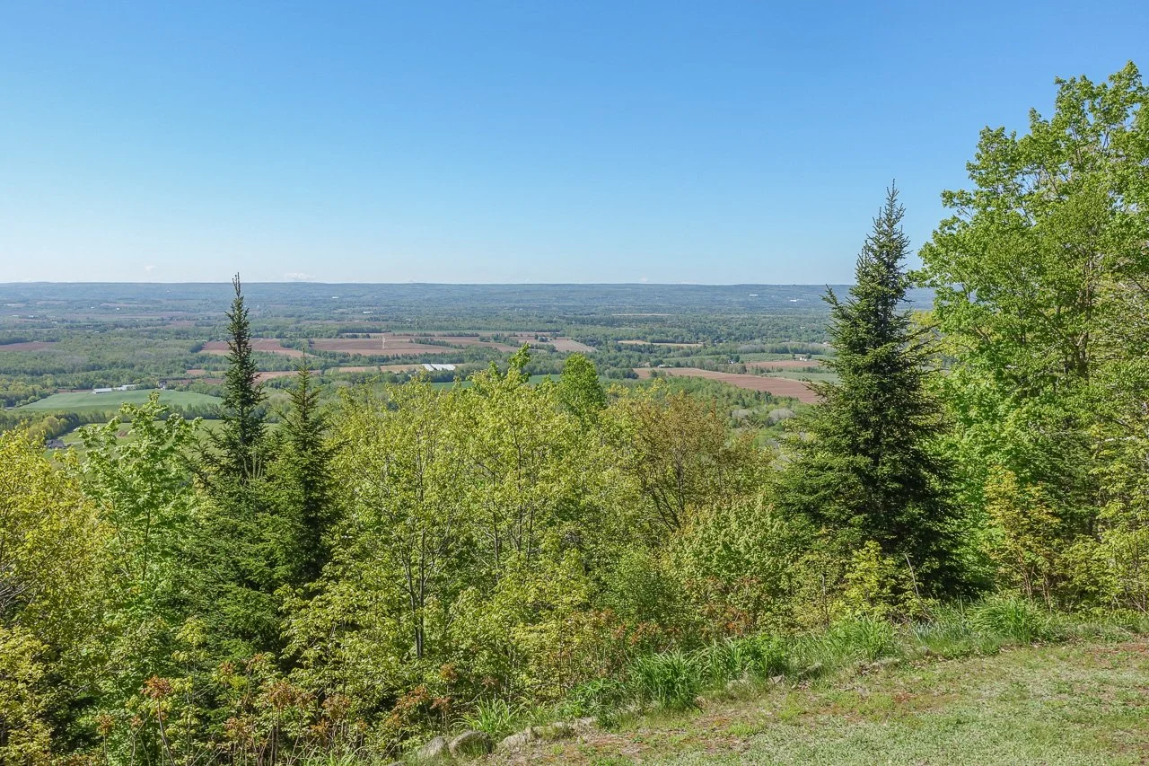 1460 Berow Mtn Rd-2019.jpg