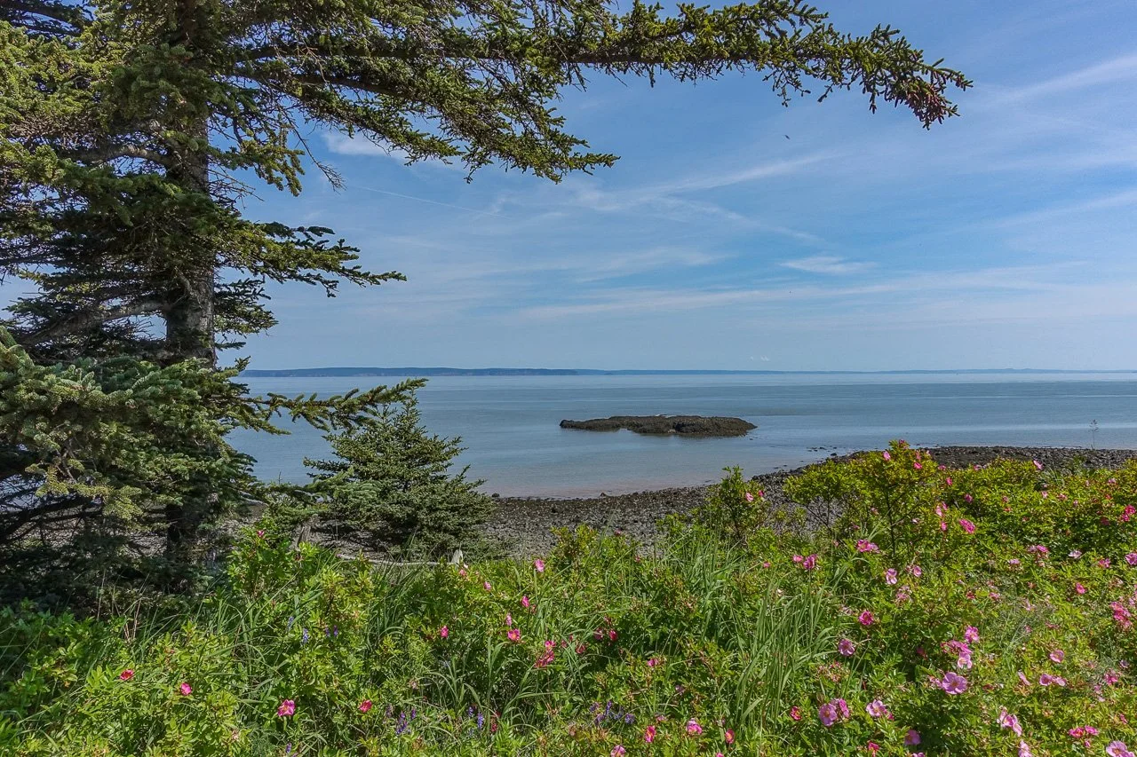 4881 Black Rock Rd-133.jpg