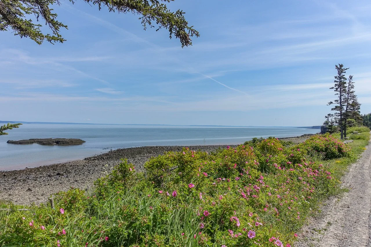 4881 Black Rock Rd-134.jpg