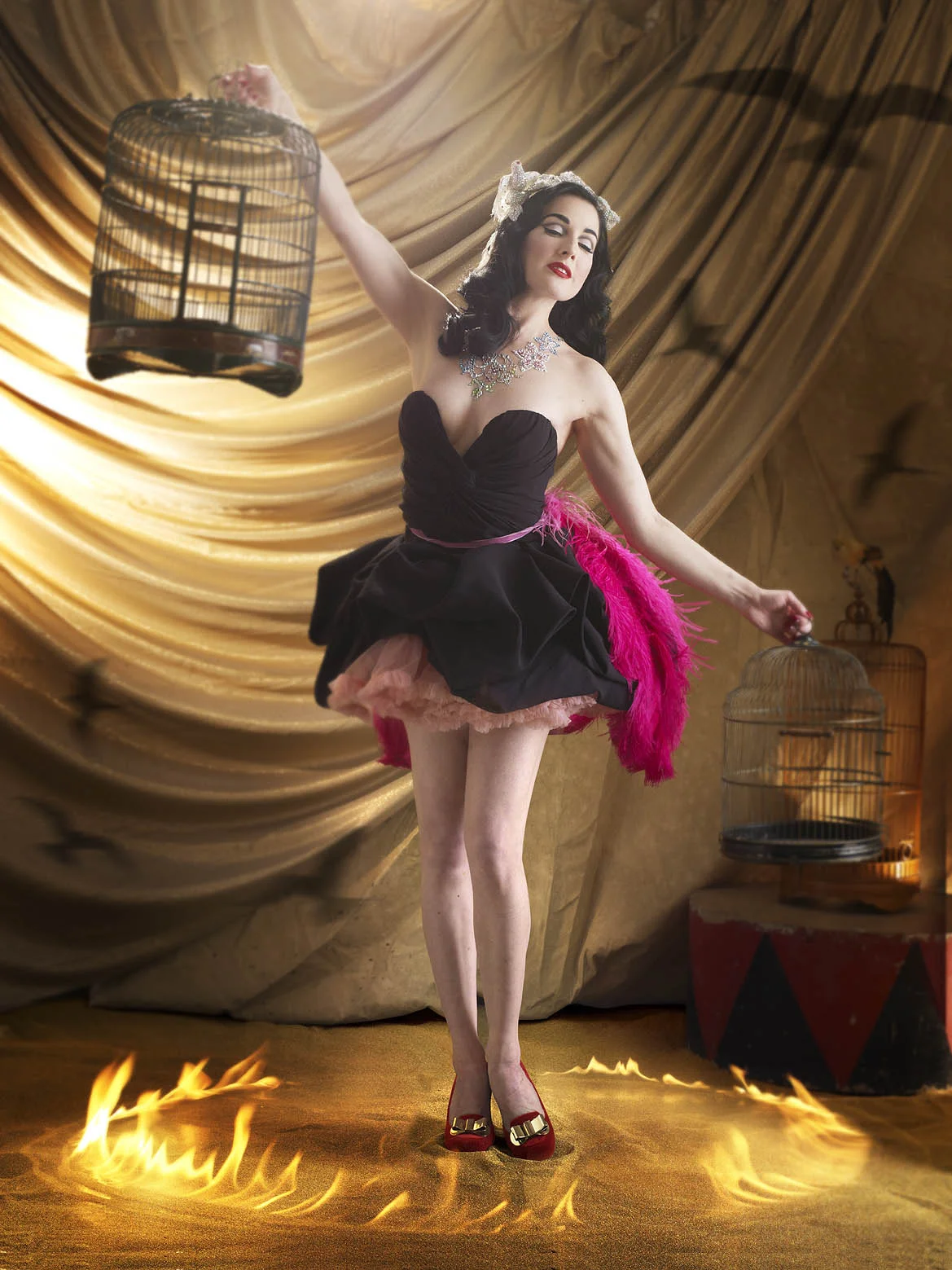 dita von teese