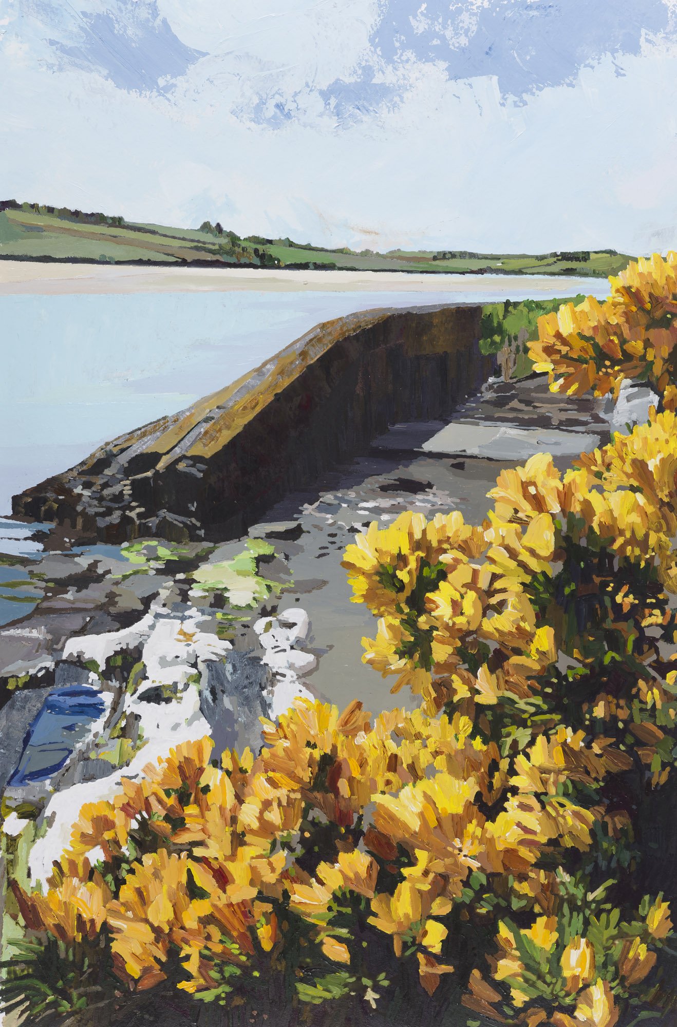 Gorse at the Slipway, Inchydoney