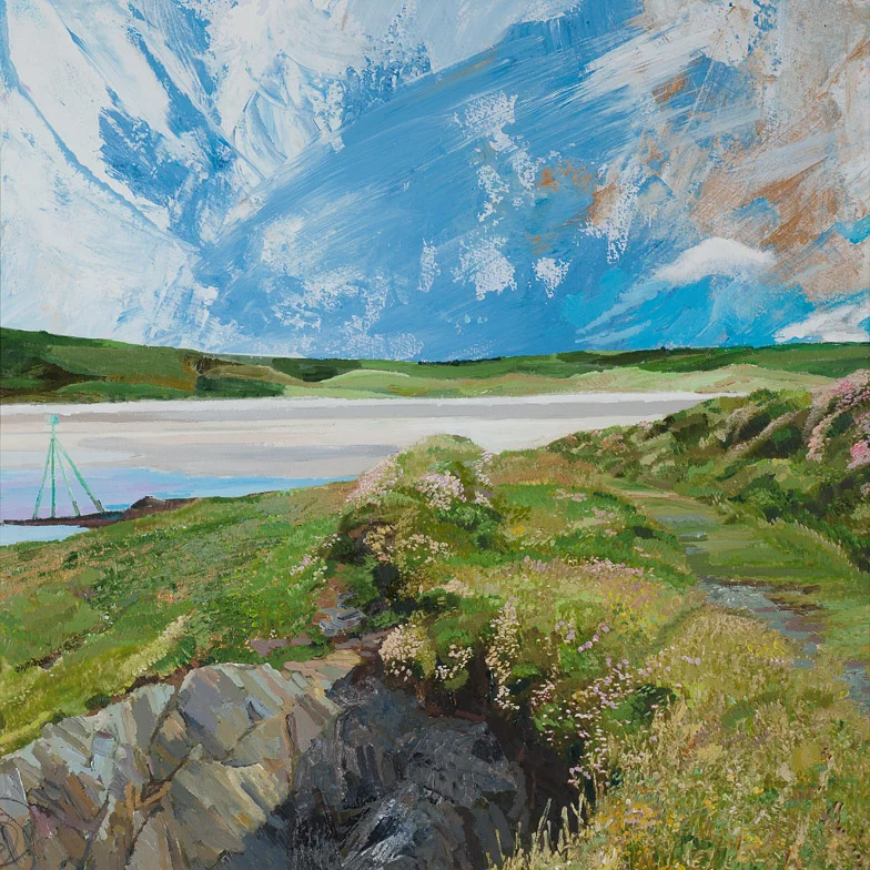 Coastal Pathway, Ring, Clonakilty 784.jpg
