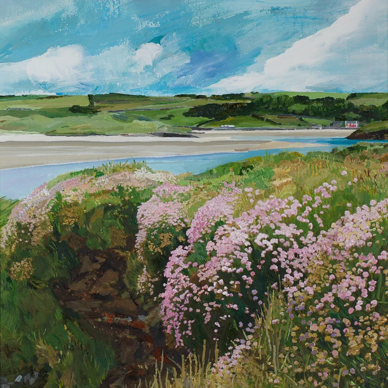 Sea Pinks, Ring Harbour, West Cork 784.jpg