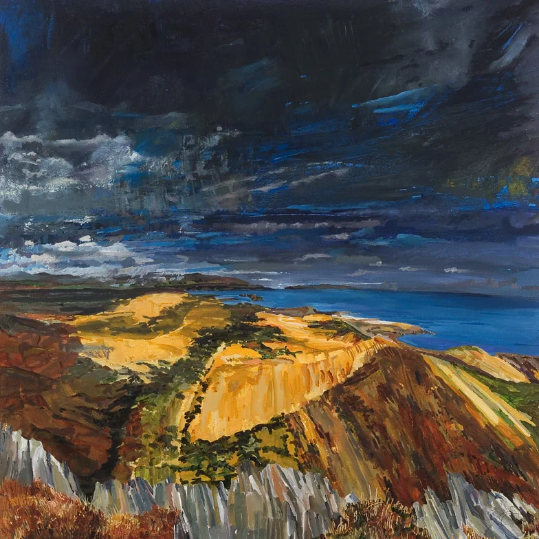 On the flanks of the Sugarloaf overlooking Bantry Bay 784.jpg