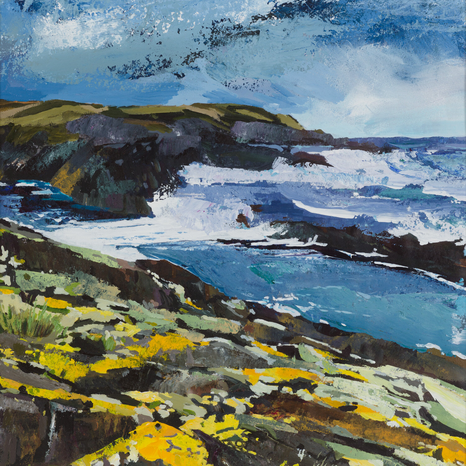 Yellow+Lichen+on+Coastal+Rocks+-+55x54cm.jpg