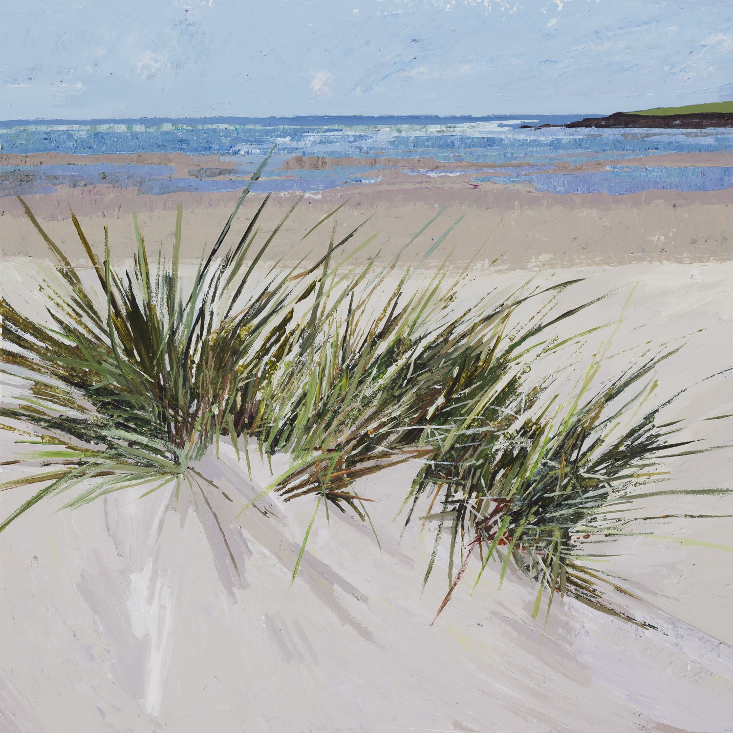 Early Morning in the Sand Dunes, Inchydoney.jpeg