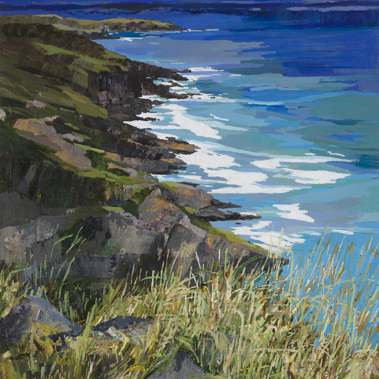 Miles and Miles of West Cork Coastline.jpeg