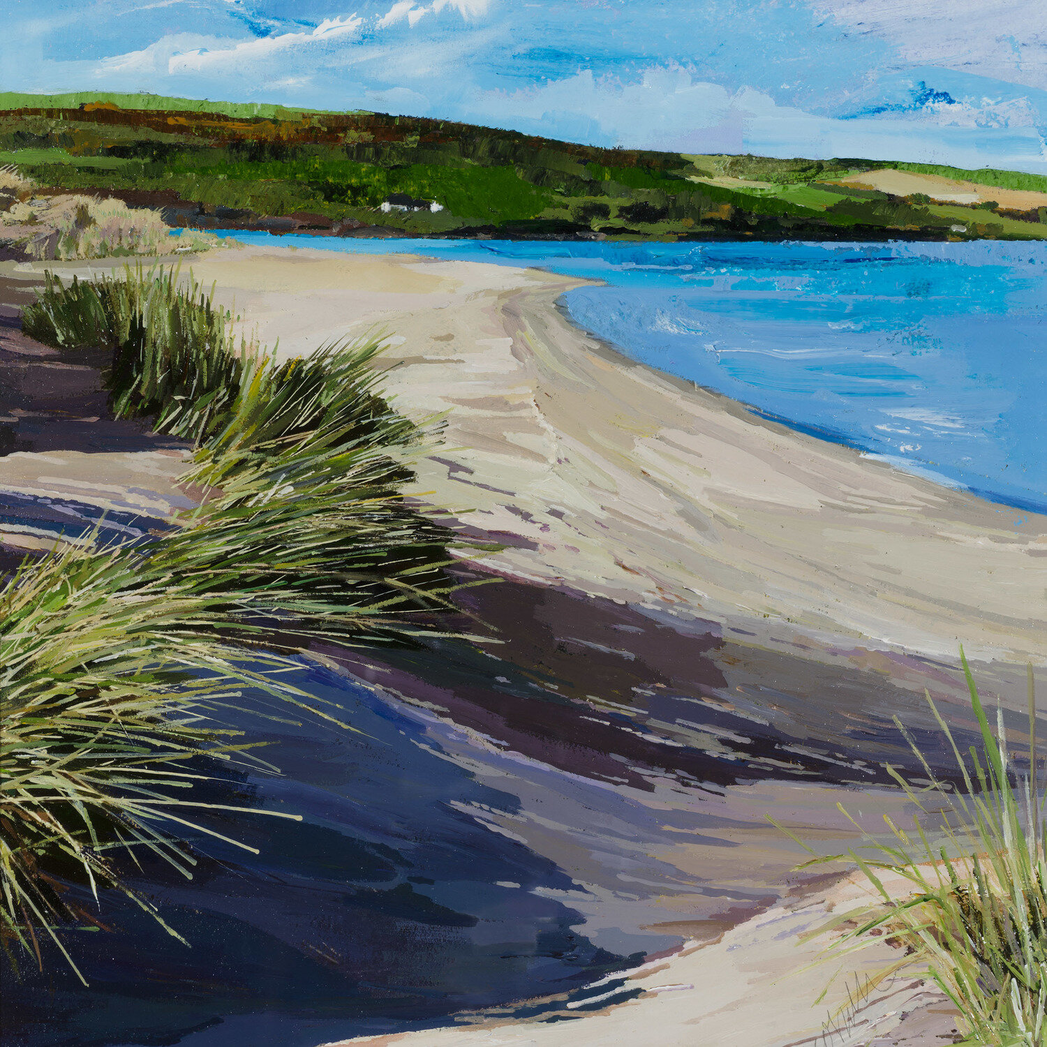 Channel Dunes, Inchydoney.jpeg