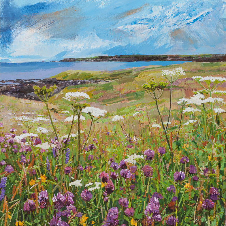 Clover Field overlooking Long Strand, West Cork