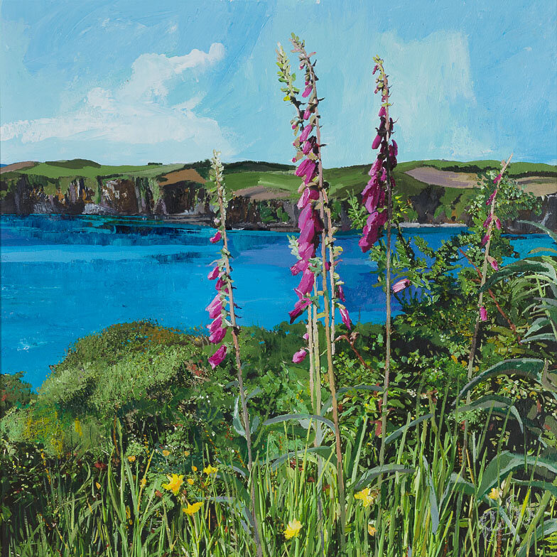 Foxgloves at Union Hall, West Cork