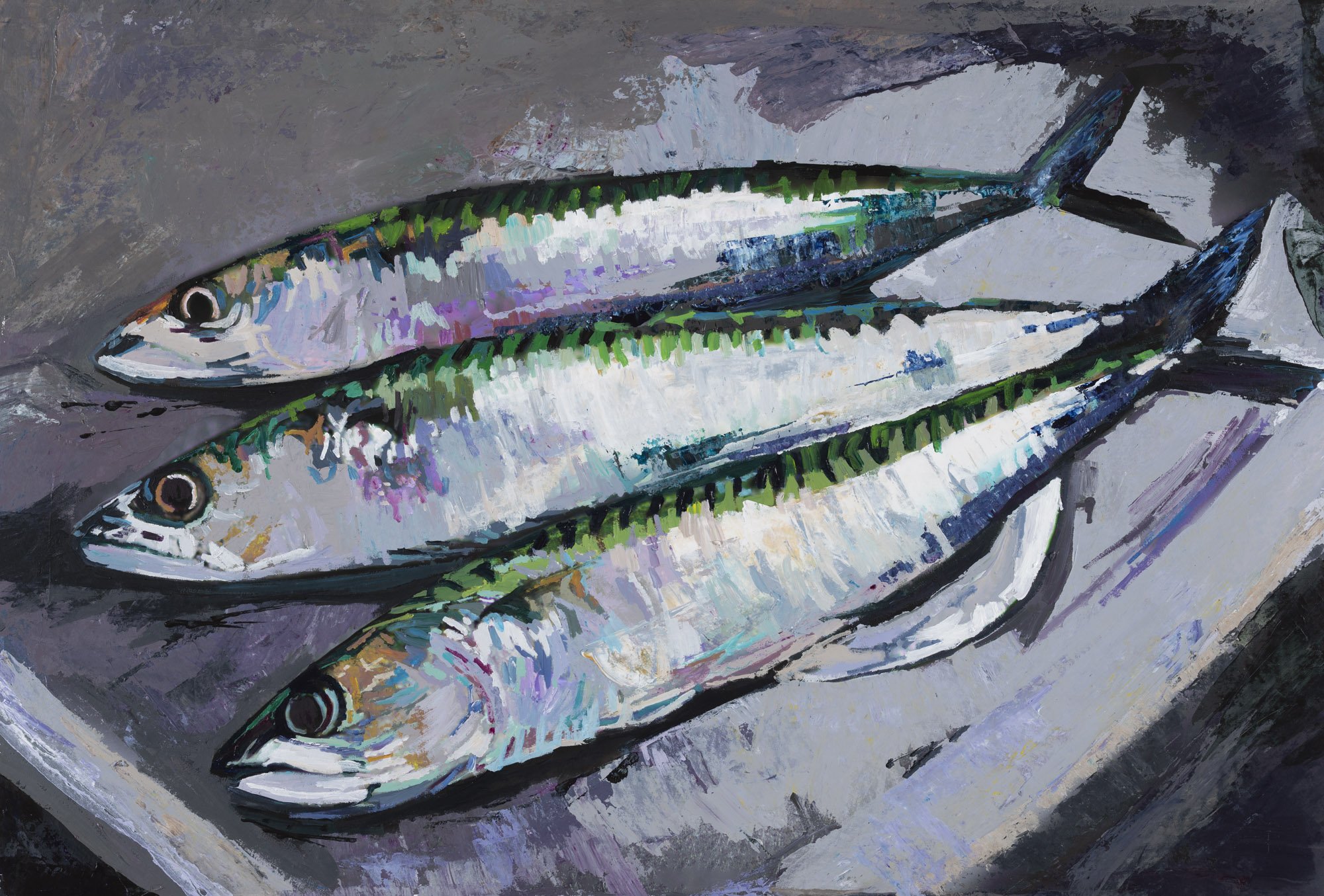 3 Mackerel in a Stainless Steel Sink 2026 - 2000px.jpg