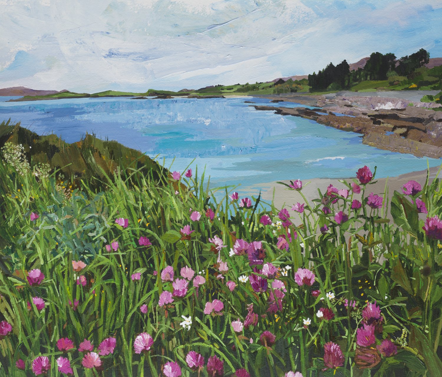 Clover, Dunmanus Bay