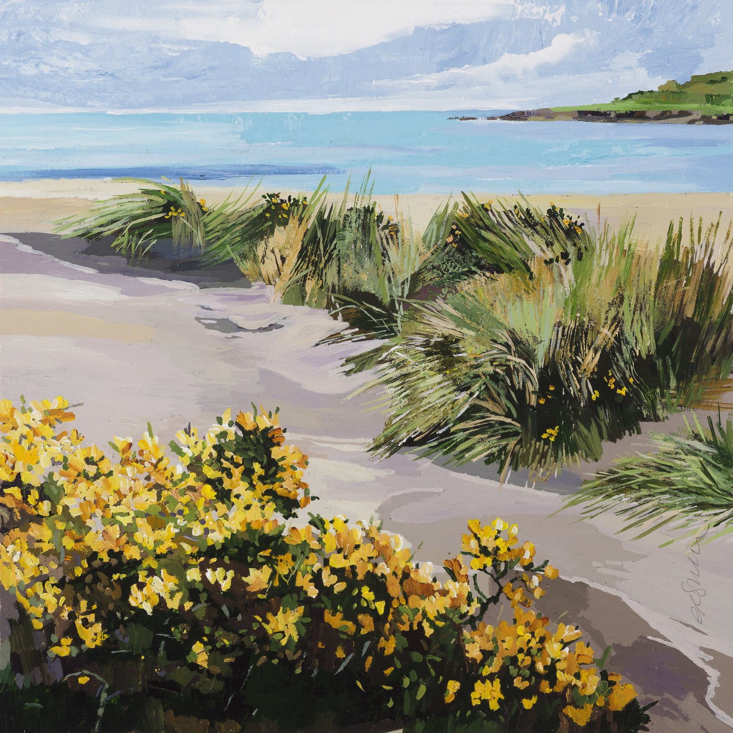 Gorse in the Sand Dunes, Inchydoney II.jpeg