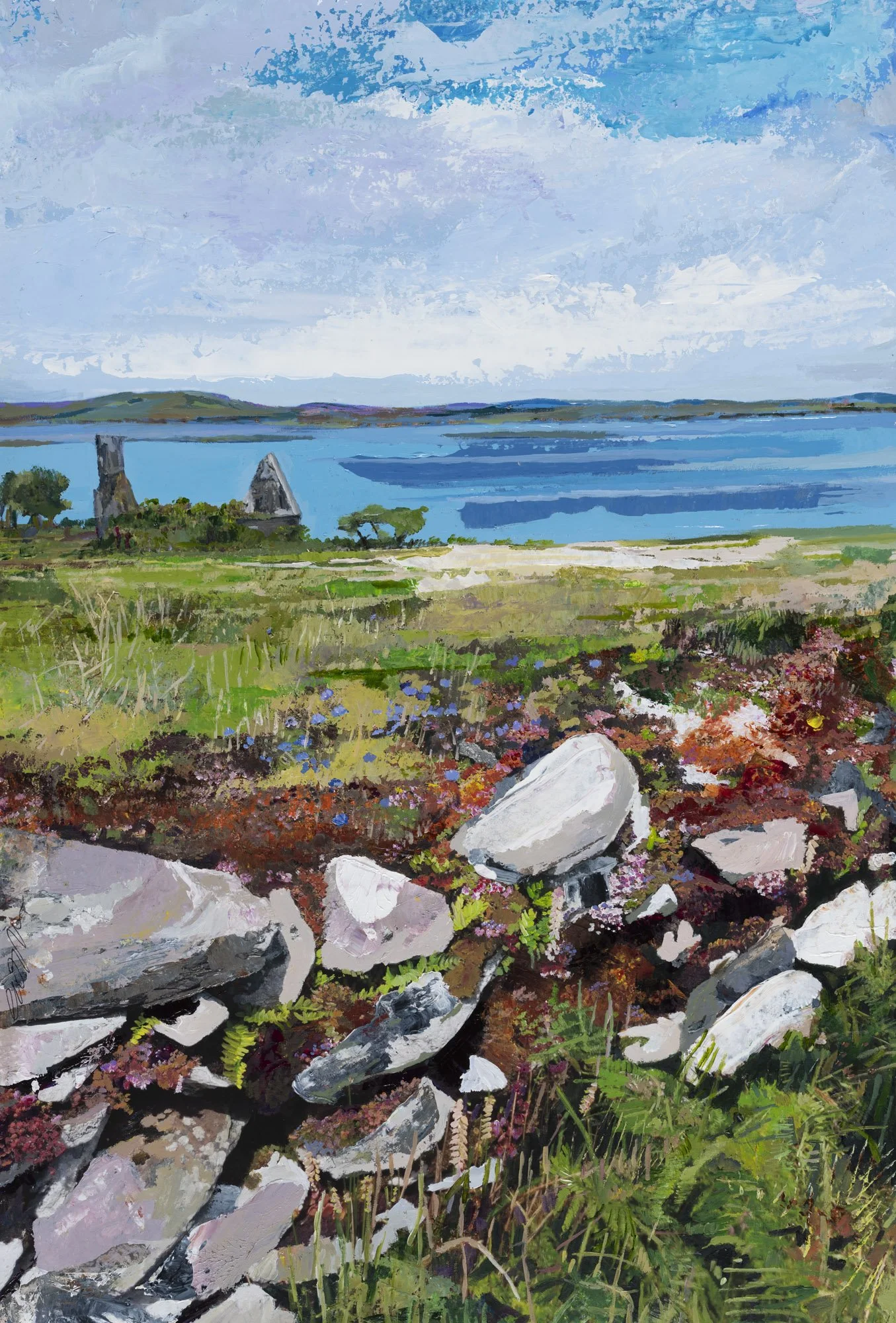Cape Clear Island one warm day in June.jpg