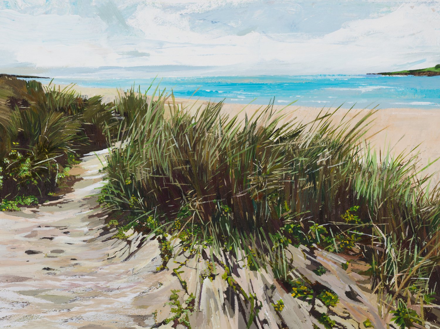 Inchydoney Sand Dunes