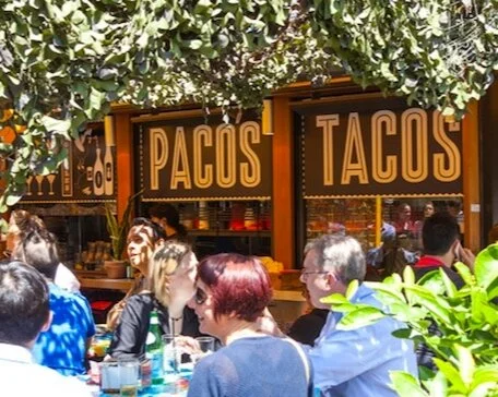 pacos taco.png