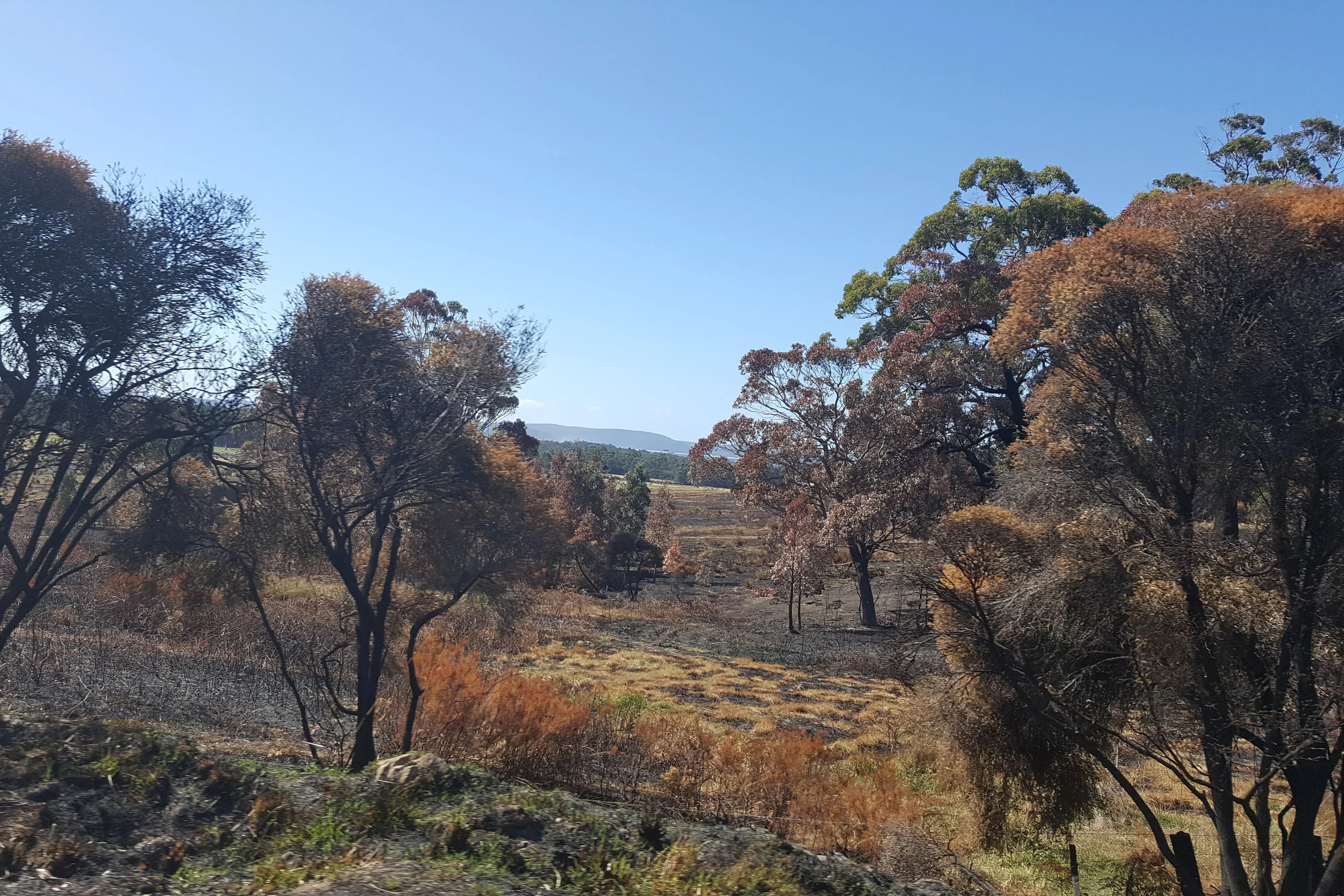 Bruny Island Hazard Communication and Risk Study