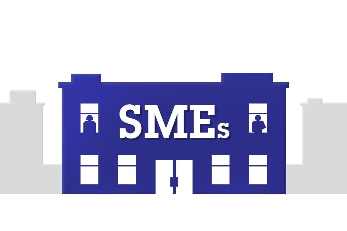 Insurance and Alternate Risk Transfer for Small and Medium-sized Enterprises (SMEs) in Vietnam