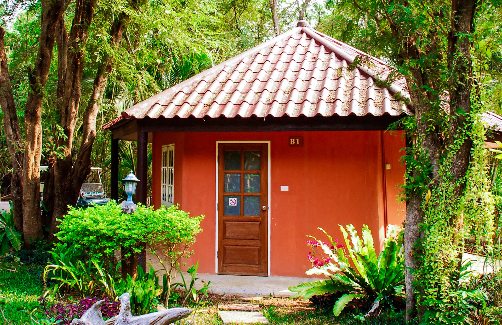 Zambaloo : Exterior