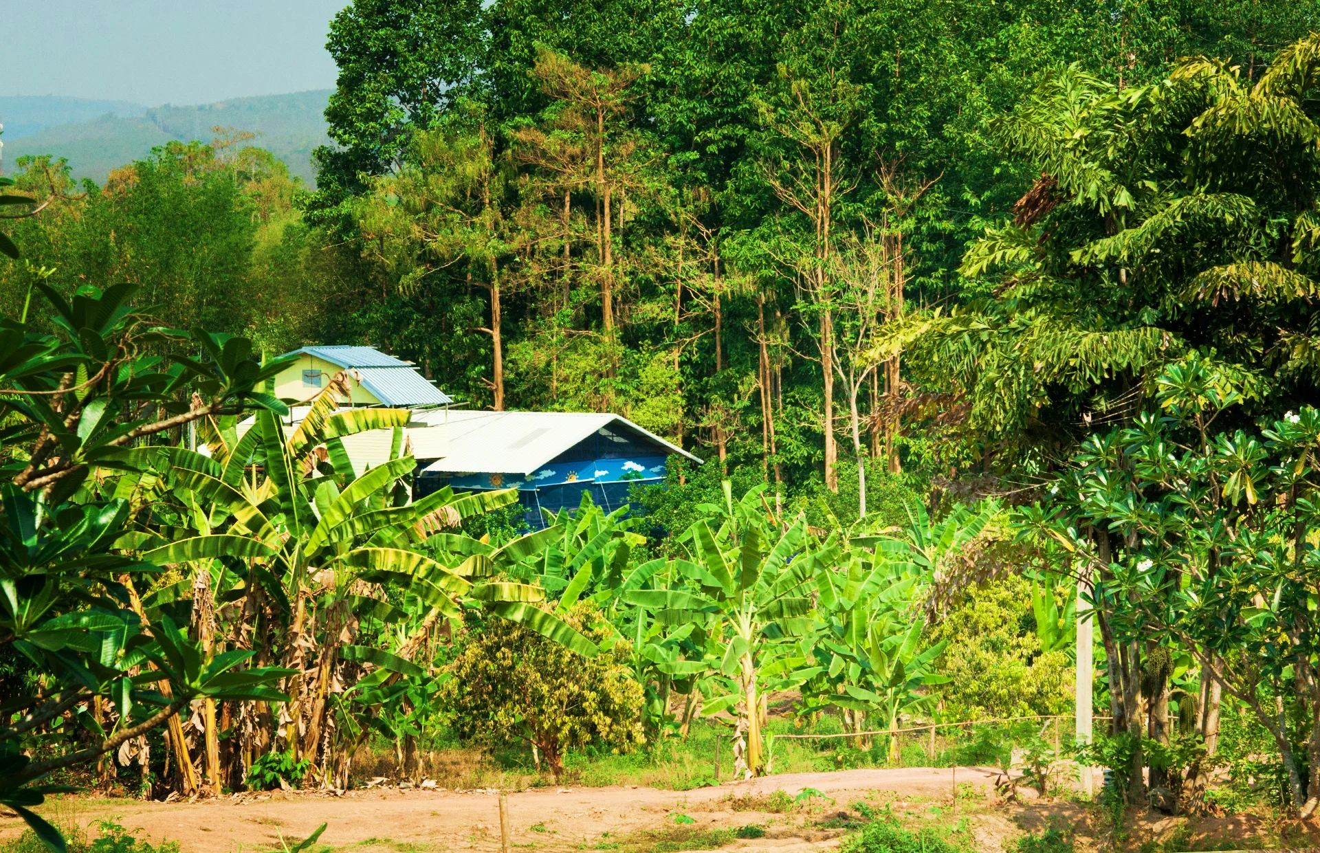 Green Surroundings