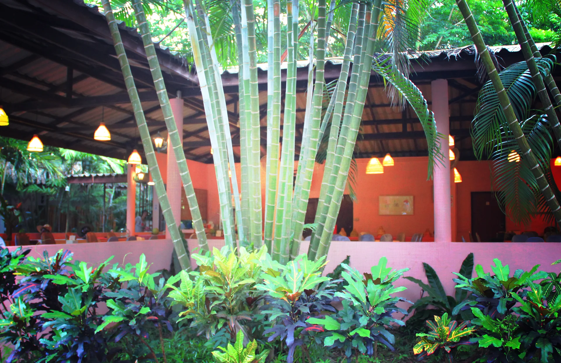Green Bamboo Restaurant