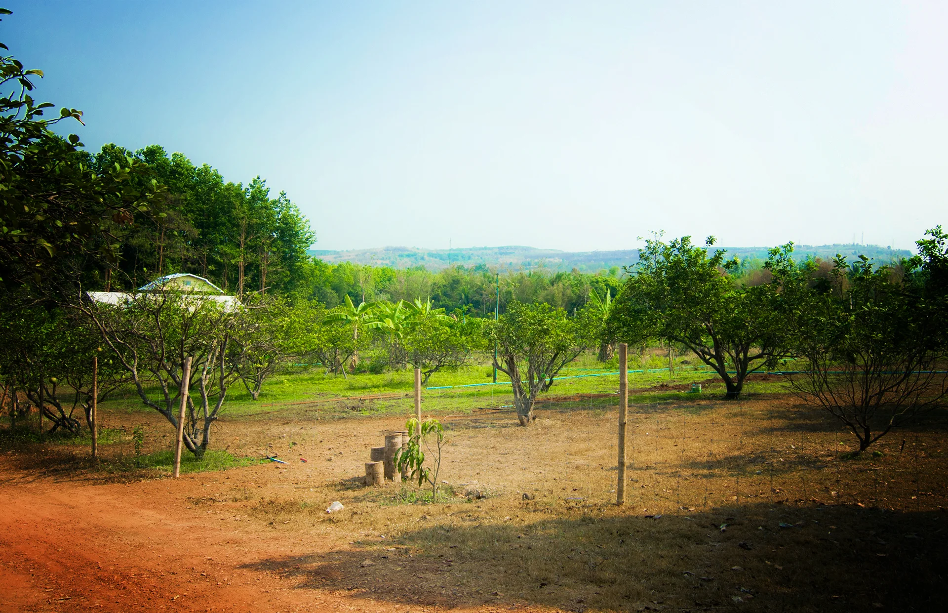 Green Surroundings