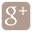 icon-gplus-light.png