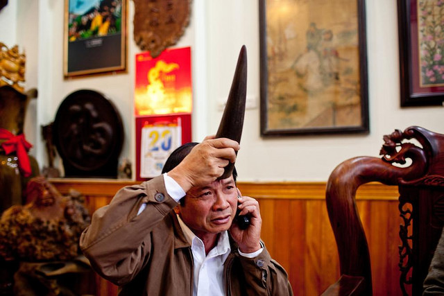 Demand for rhino horns in Vietnam is growing strongly in recent years. This demand comes from the notion that rhino horns are a special drug, particularly a good aphrodisiac for men.