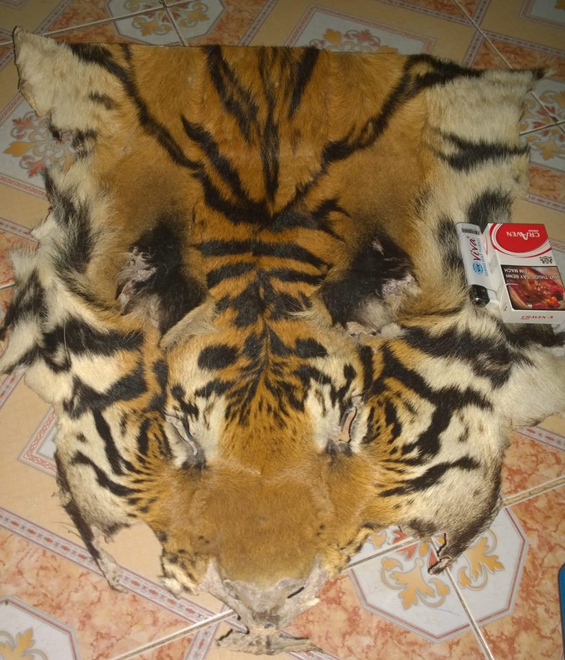 Tiger skin for sale on Facebook
