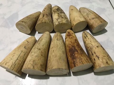 Elephant ivory were also found on Facebook