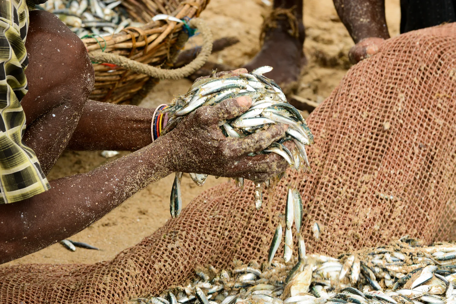 FISHERMANSFRIEND-26.jpg