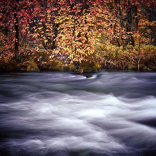 AUTUMN WATERS