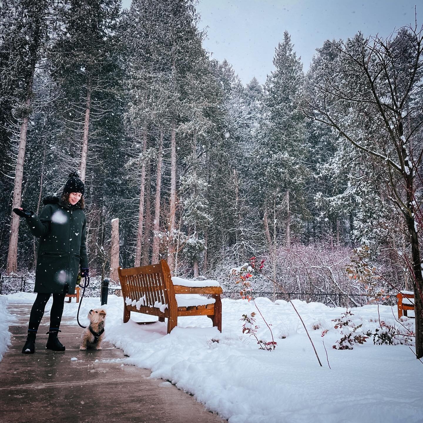 I like the snow in Vancouver because it&rsquo;s fleeting. The sun is back today, and even though we&rsquo;re surely in for more rain before Spring comes this little winter interlude has felt rejuvenating. 
:::
:::
:::
#vancouver #yvr #mildwinter