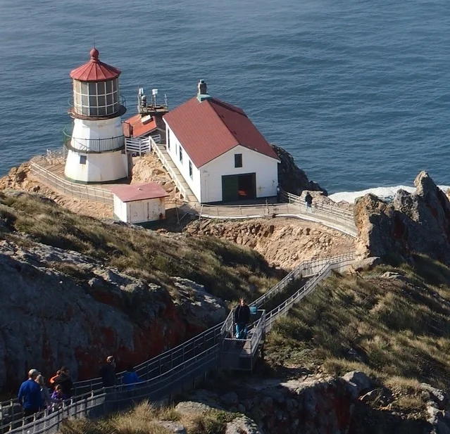 Book Reading and Whale Talk, Followed by Optional Whale Watching