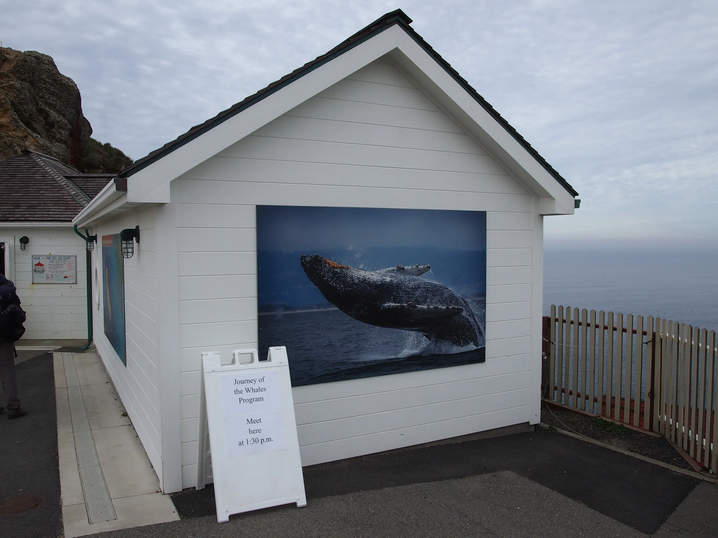 Whale Talk and Whale Watching at Point Reyes Lighthouse